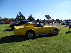 Quotazione auto usate Corvette foto n 319