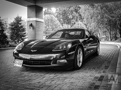 Quotazione auto usate Corvette foto n 320