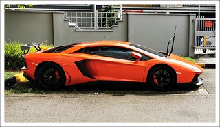 Quotazione auto usate Lamborghini foto n 701